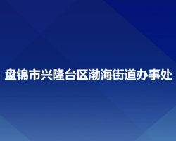 盘锦市兴隆台区渤海街道办事处