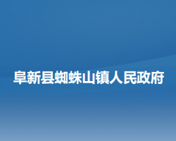 阜新县蜘蛛山镇人民政府