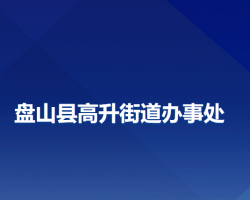 盘山县高升街道办事处政务服务网