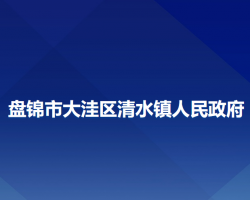 盘锦市大洼区清水镇人民政府