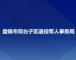 盘锦市双台子区退役军人事务局