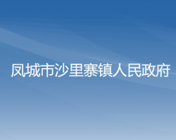 凤城市沙里寨镇人民政府