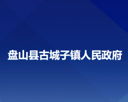 盘山县古城子镇人民政府政务服务网