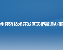 锦州经济技术开发区（滨海新区）天桥街道办事处政务服务网