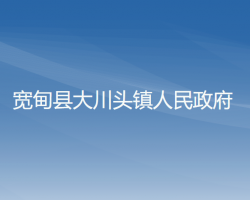 宽甸县大川头镇人民政府政务服务网