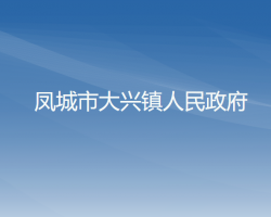 凤城市大兴镇人民政府