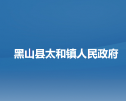 黑山县太和镇人民政府