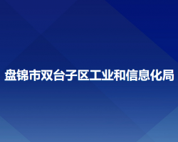 盘锦市双台子区工业和信息化局