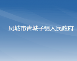 凤城市青城子镇人民政府