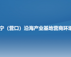 辽宁（营口）沿海产业基地​营商环境局