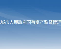 凤城市人民政府国有资产监