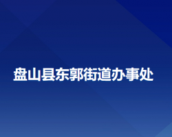 盘山县东郭街道办事处政务服务网