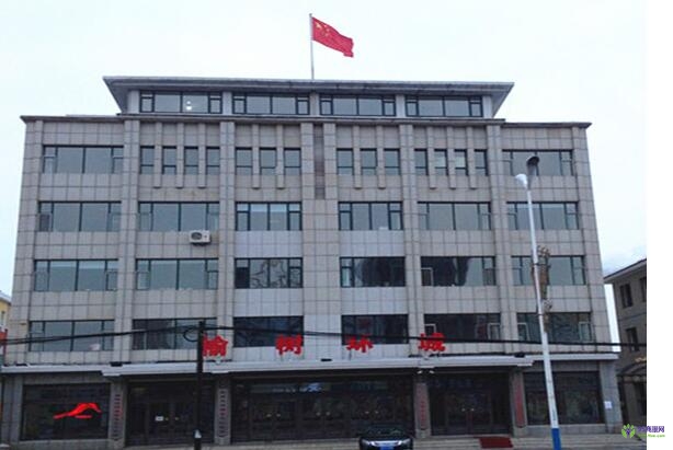 榆树市环城乡人民政府