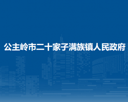 公主岭市二十家子满族镇人民政府政务服务网