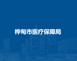 桦甸市医疗保障局