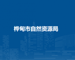 桦甸市自然资源局