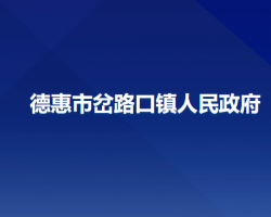 德惠市岔路口镇人民政府