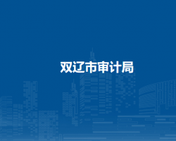 双辽市审计局