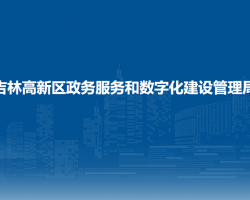 吉林高新区政务服务和数字