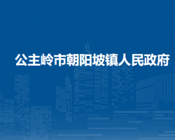 公主岭市朝阳坡镇人民政府政务服务网