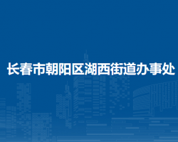 长春市朝阳区湖西街道办事处