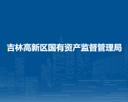 吉林高新区国有资产监督管
