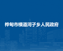 桦甸市横道河子乡人民政府