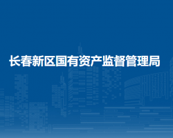 长春新区国有资产监督管理局