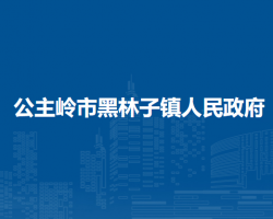 公主岭市黑林子镇人民政府政务服务网