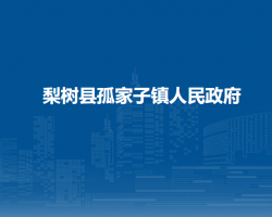 梨树县孤家子镇人民政府