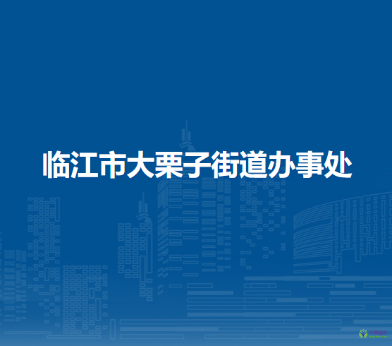 临江市大栗子街道办事处