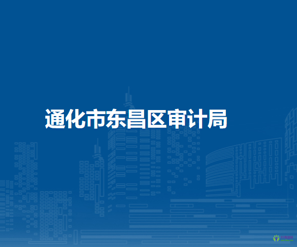 通化市东昌区审计局