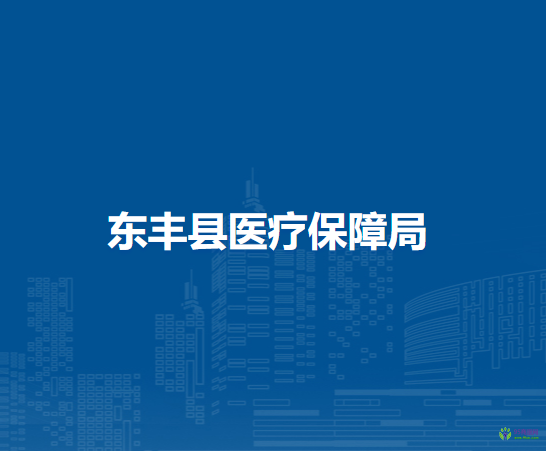 东丰县医疗保障局