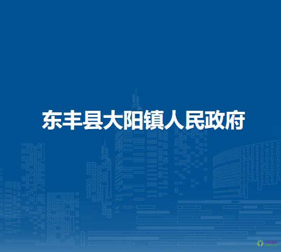东丰县大阳镇人民政府