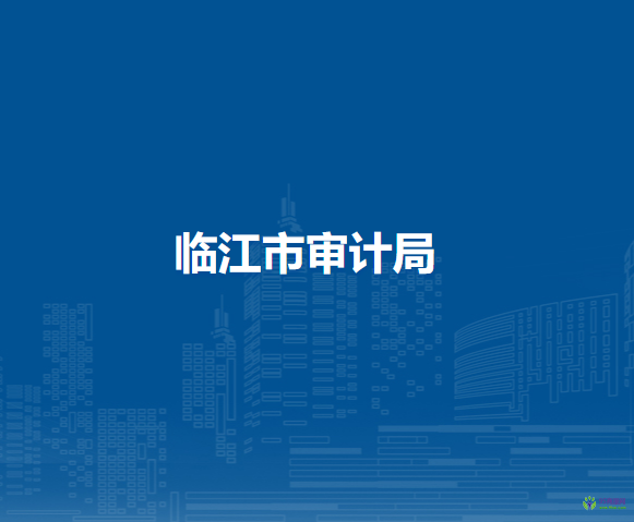 临江市审计局