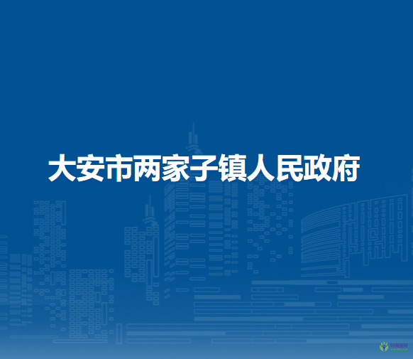 大安市两家子镇人民政府
