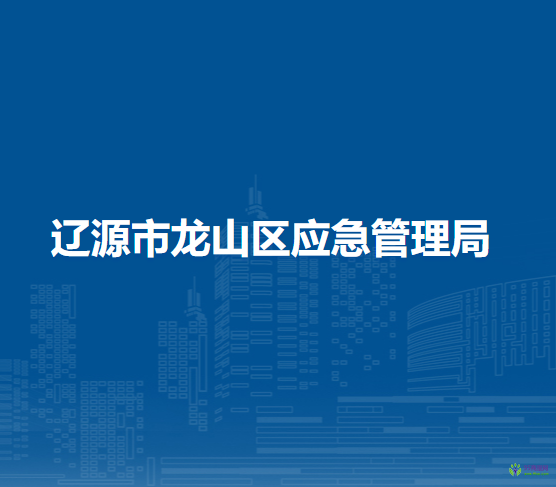 辽源市龙山区应急管理局