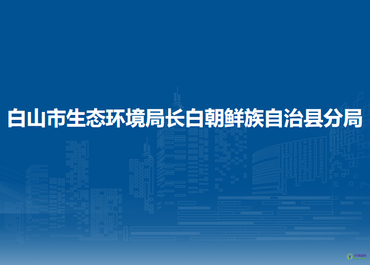 白山市生态环境局长白朝鲜族自治县分局