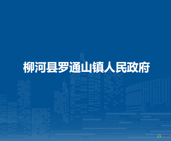 柳河县罗通山镇人民政府
