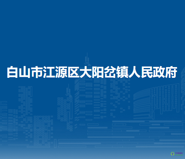 白山市江源区大阳岔镇人民政府