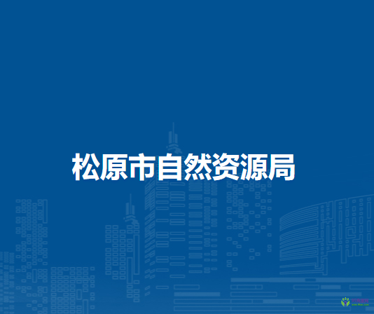 松原市自然资源局
