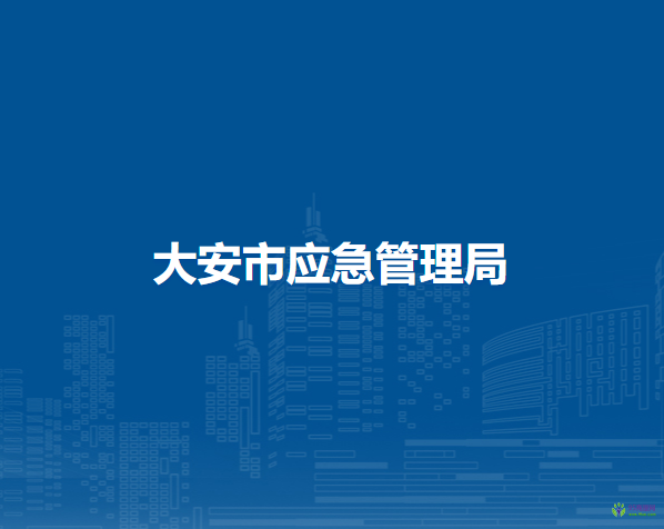 大安市应急管理局