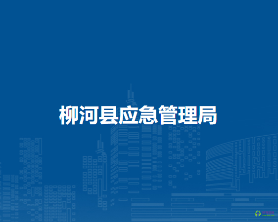 柳河县应急管理局