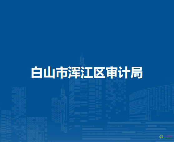 白山市浑江区审计局