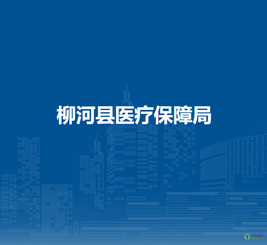 柳河县社会保险事业管理局