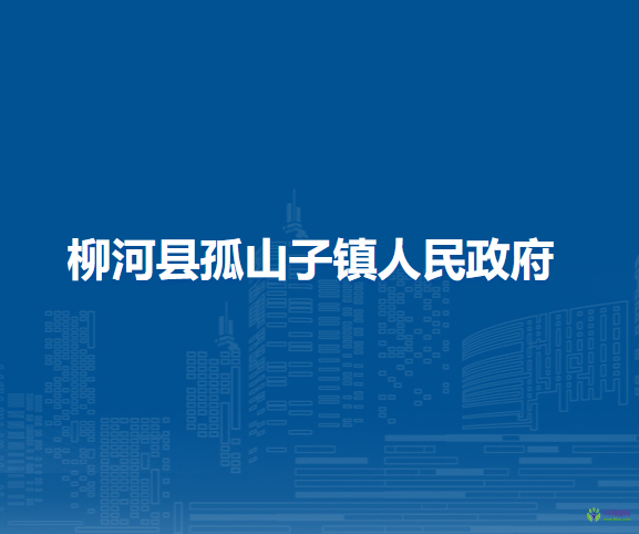 柳河县孤山子镇人民政府