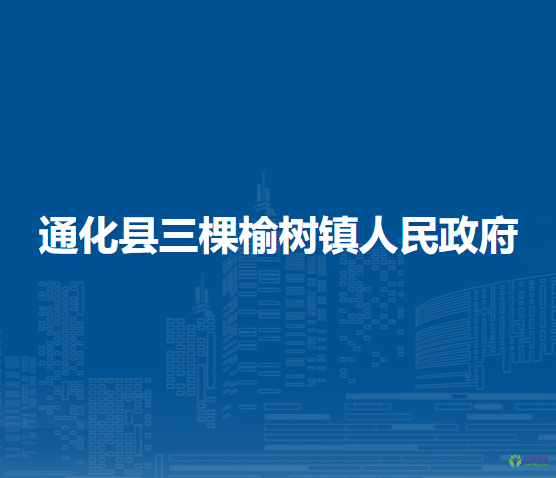 通化县三棵榆树镇人民政府