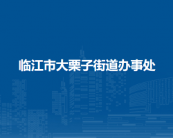 临江市大栗子街道办事处