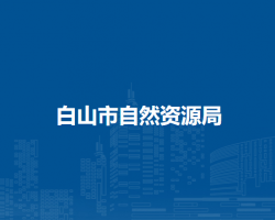 白山市自然资源局