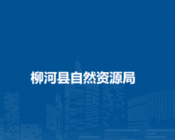 柳河县自然资源局